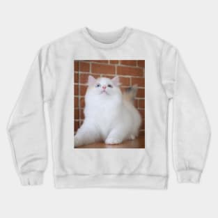 The little white cute cats Crewneck Sweatshirt